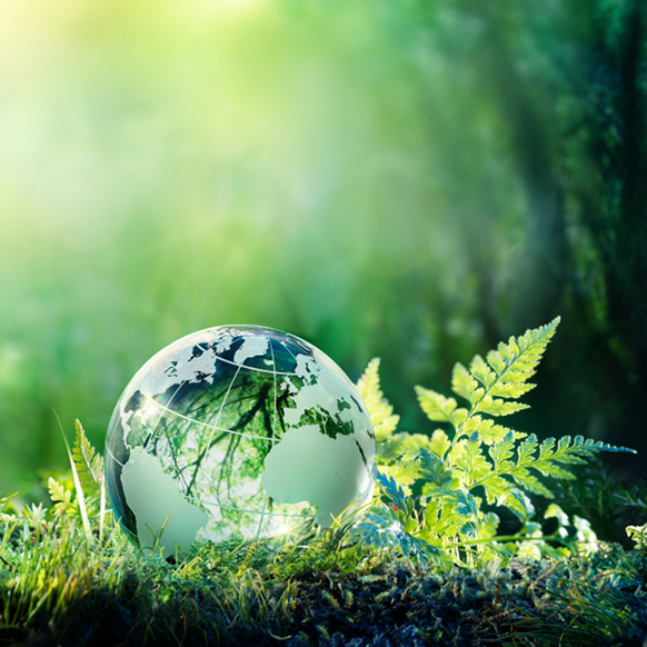 the environment
